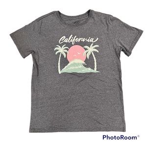 Mighty Fine California Ocean Sun Palm Tree Gray T Shirt 2XL New